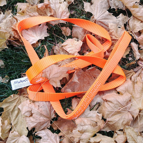 Suspension Strap - 2M