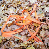 Suspension Strap - 5M