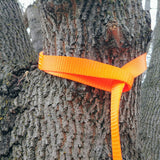 Suspension Strap - 2M